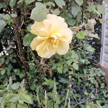 Mobil-home Confort 2 A