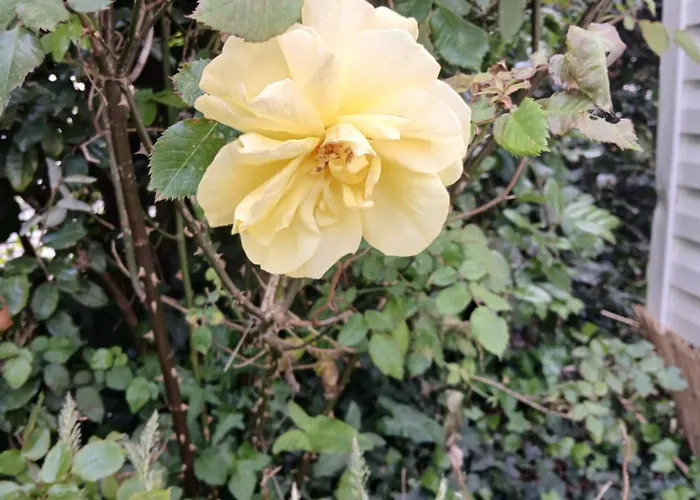 Mobil-home Confort 2 A